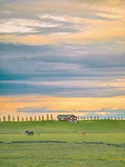 보스와 청년농부 (完)