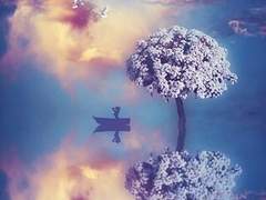 [나이브 드림] 환각