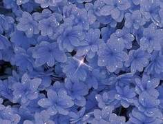 돌아설 때 이미 멀어진 사이에서