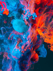 닥터 옥토&노먼