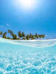 검은 그림자 내안에 깨어나