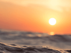 새로운 약속을 하자.