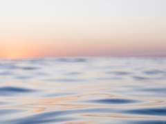 짙푸른 바다내음, 수평선의 끝에서