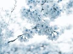 그저 하나의 이야기