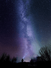 [습작]나의 별들을 위하여