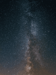 키스의 고유 조건은 입술끼리 만나야하고 특별한 기술은 필요치 않다.