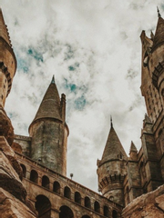 호그와트의 편입생