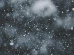 [빅앙] 빅터 프랑켄슈타인의 겨울은 끝나지 않는다