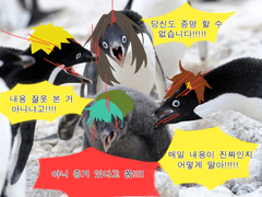 키미가시네 로그정리 (2018~2022)