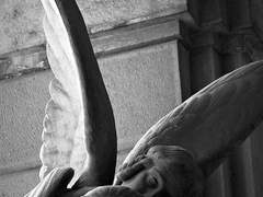 發信者: 十六 誠敬