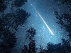 유성 XX 팝 미라클 비전