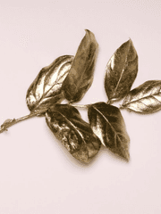 혜안여자고등학교 : reboot