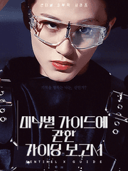 미식별 가이드에 관한 가이딩 보고서