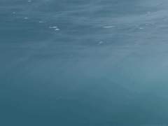 I think I’m head over heels for you