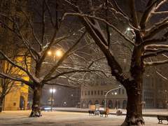 사랑하게 될 거야