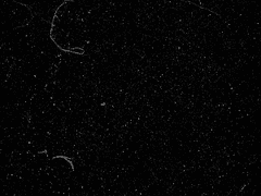 하느님이 왜 너를 만드셨을까.