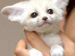 여기는 반인반수심리상담센터입니다! 4