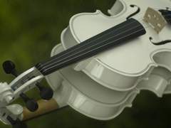 Arsel K. Winchester / XY / Slytherin