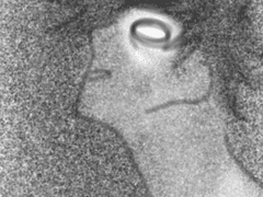 꼬리별의 마법사 15