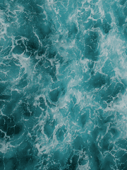 크레이노토미 코퍼레이션