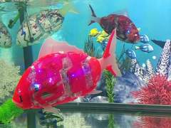 원린어의 꿈/이도은