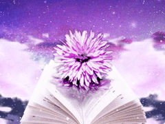 꿈의 하루가 궁금하지 않나요?