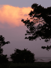 그냥 내 취향 썰(뻘글)