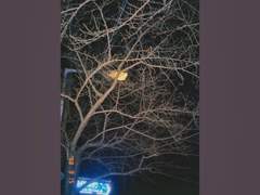 당신이라는 우주