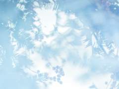 그대들의 앞에 서서,