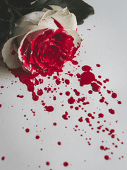 다녀오겠습니다.