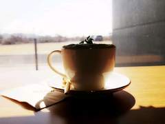 나 이런 사람이야