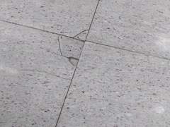 104. 건강검진하러 가는 중