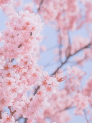 옆 반, 옆 분단, 옆 자리