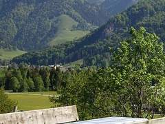 From Choline, To. Len