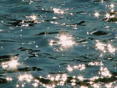 오늘 저녁으로는 파스타를 먹는다 또….