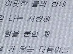 타고 흘러 내 온몸에 물들어