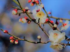 대가리가 깨졌어도 개수작은 바르게 하라 1