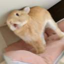 조랭이떡국므먕