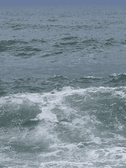 나의 어떤 게 보기 좋았던거야