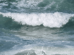 난 영원한 맘을 사랑하나봐