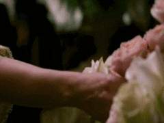 당신에게 드리는 보라장미 한 송이