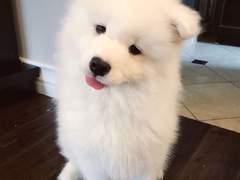 여기는 반인반수심리상담센터입니다! 5