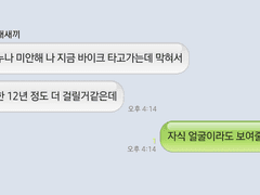 도리벤 드림 카피페 2