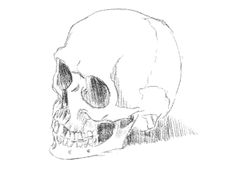 달빛 아래의 환상곡