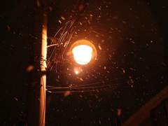 반지하 로맨티스트(Acoustic Version)