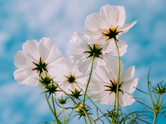 질투많은 사람끼리 동거하면 생기는 일