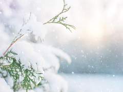 완전 추워! 핫팩을 온몸에 두르고 다녀야 하나...