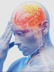 간헐적(지속적)뇌공유