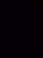 카타나 메이츠 / dB