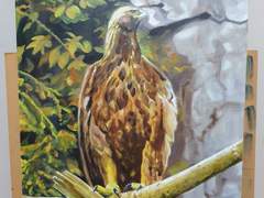 유화 그림-Long-eared Owl